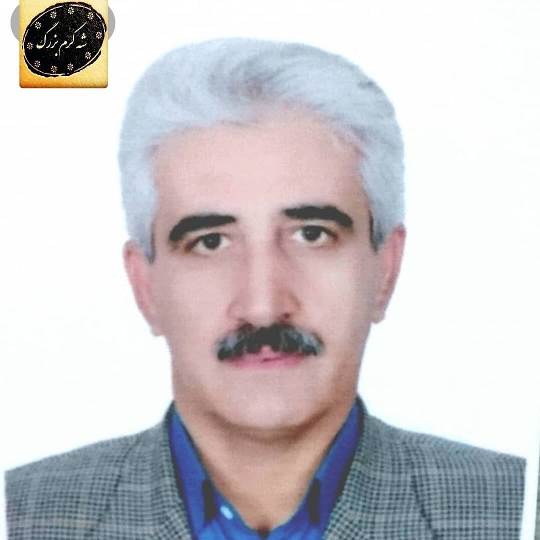 حسن علی ویس کرمی