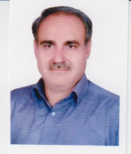 مجتبی حسینی