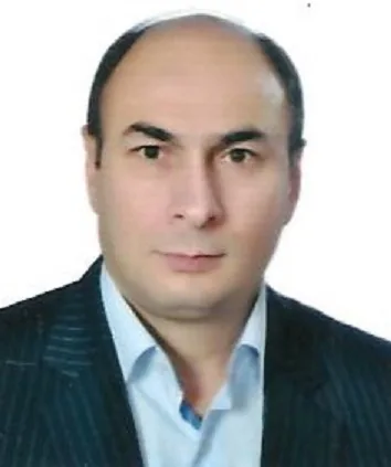 عبدالناصر محمدی غلامی  (بازنشسته)