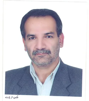 سید نجم الدین شاهرخی