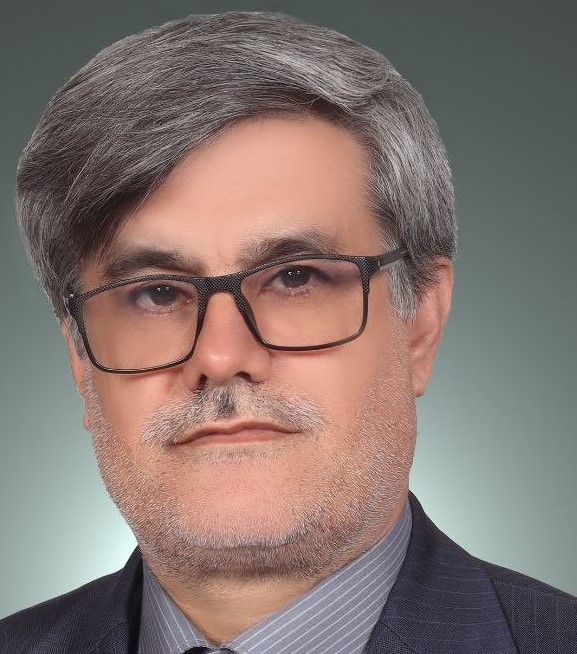 سیدمحمود میرزایی الحسینی