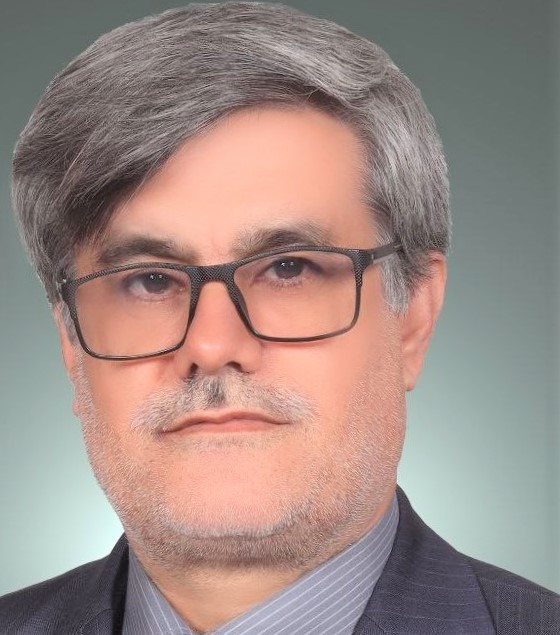 سیدمحمود میرزایی الحسینی