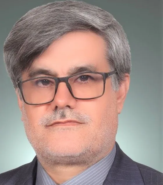 سیدمحمود میرزایی الحسینی