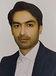 حسین نبوی نیک