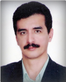 محمد فیضیان