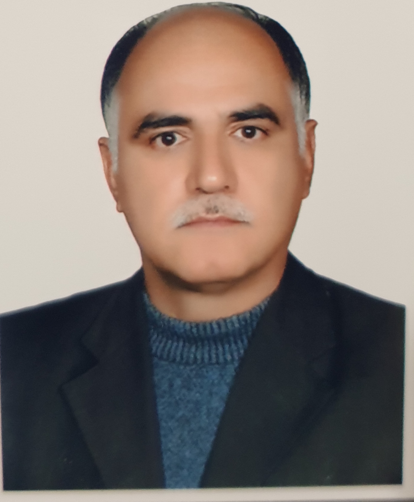 محمد حسین پور سعید