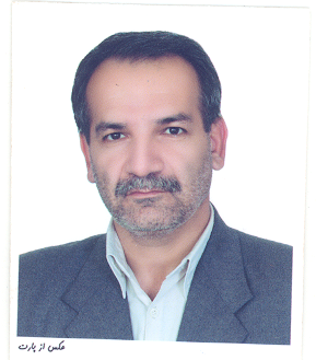 سید نجم الدین شاهرخی